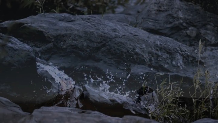 Rocks