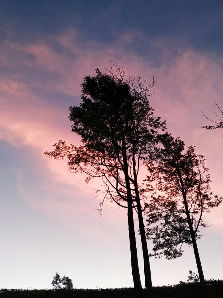 ooty