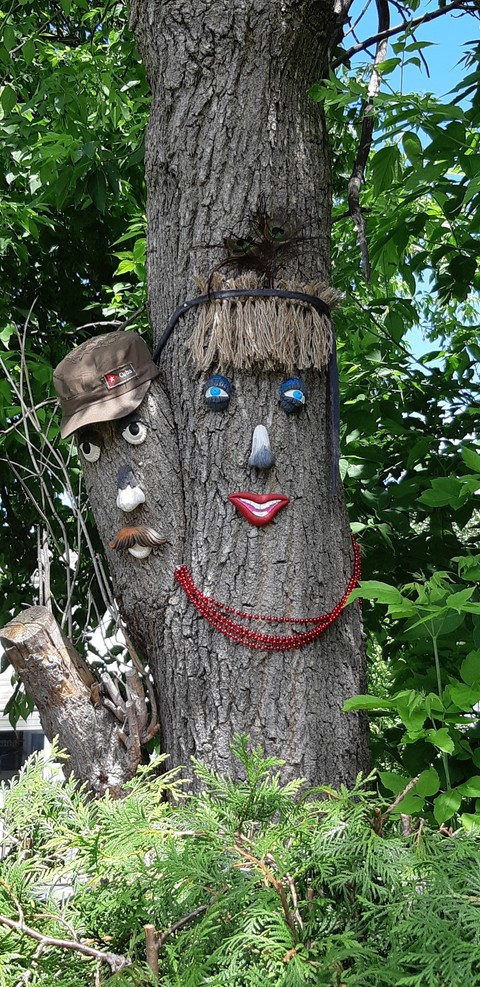 arbre d été