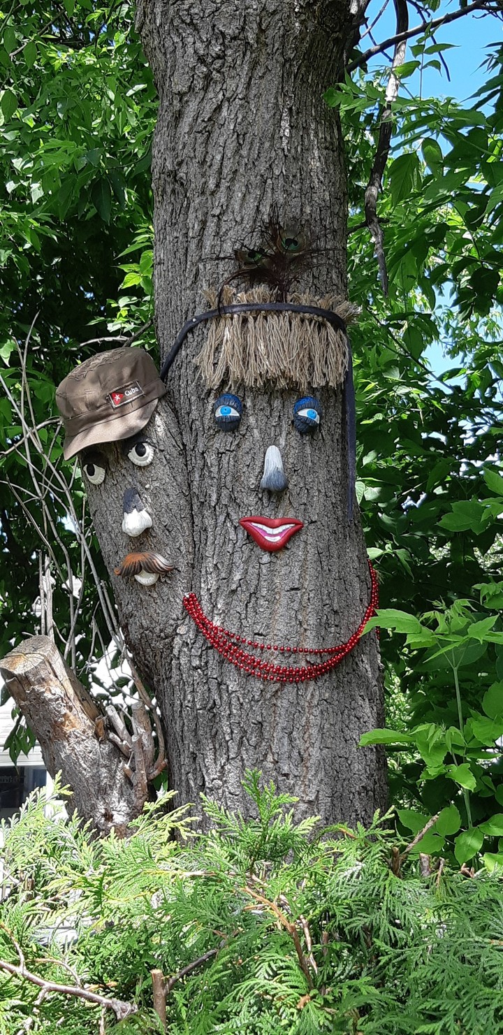 arbre d été