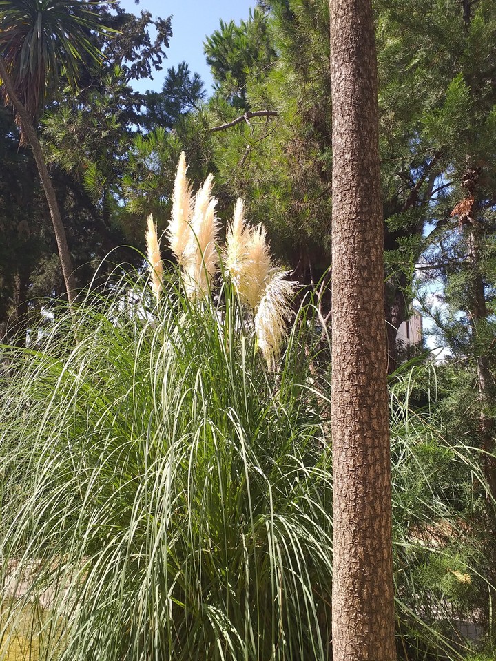 nature