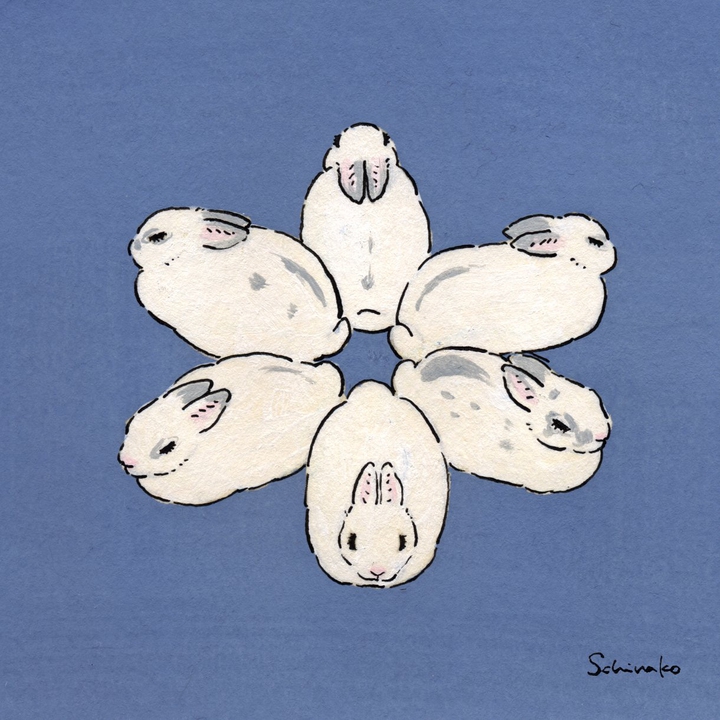 bunnies