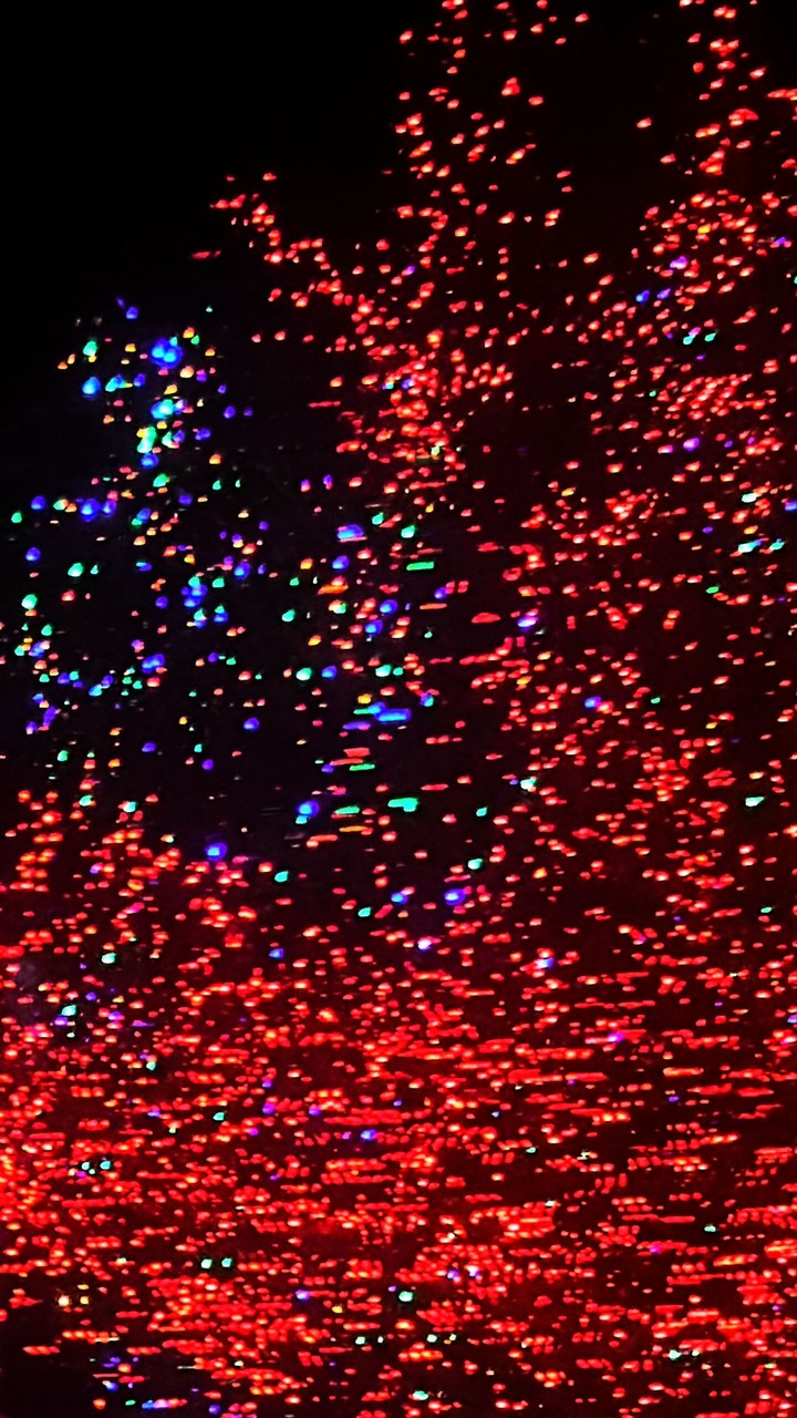 Sparkling Lights