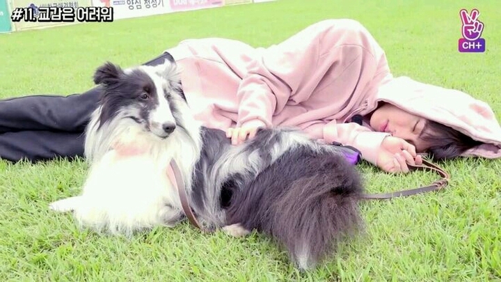 Jin and dog