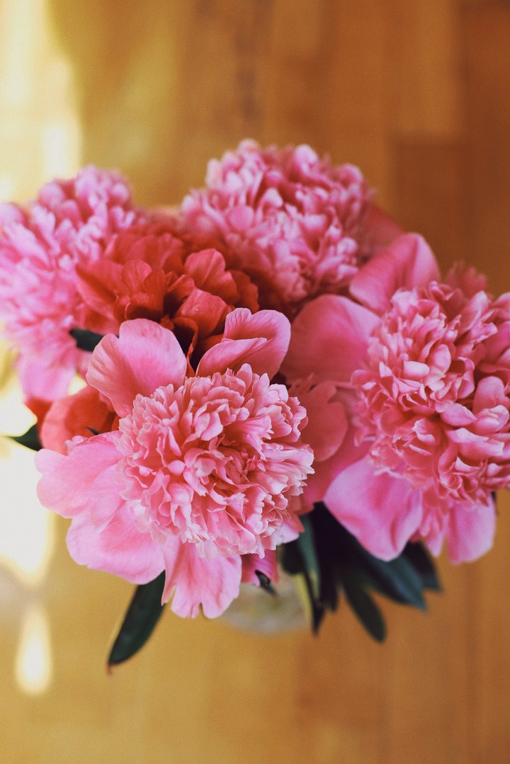 bouquet of pink peonies