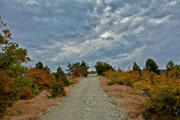 Mountain