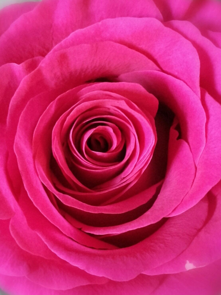 Too pink