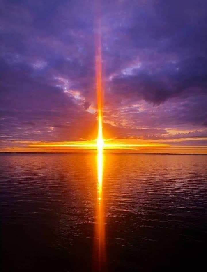 the morning sun