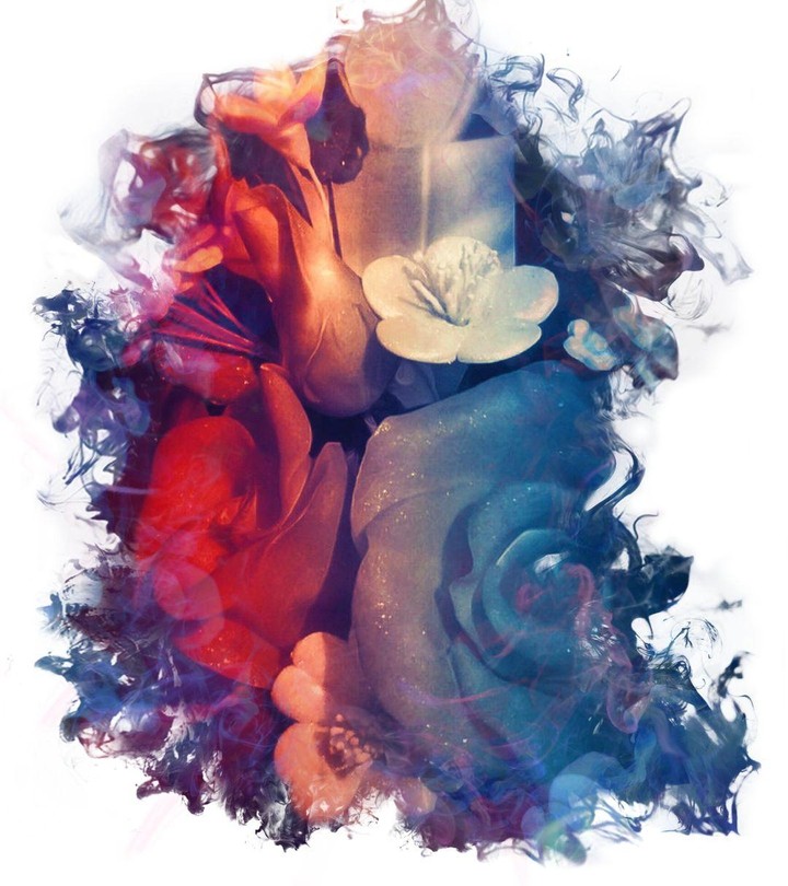 Beatiful roses