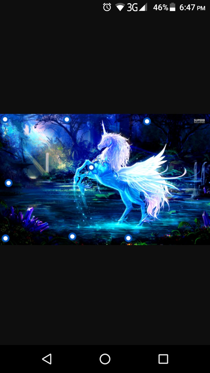 Unicorn