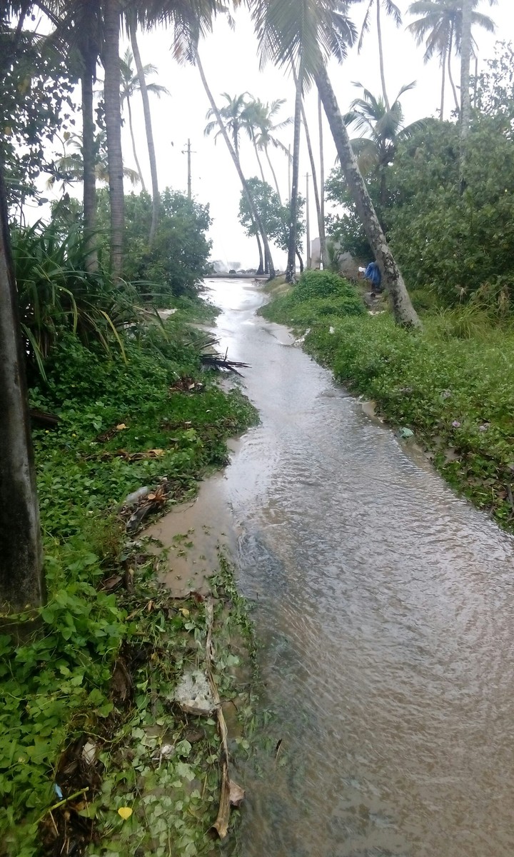 flood