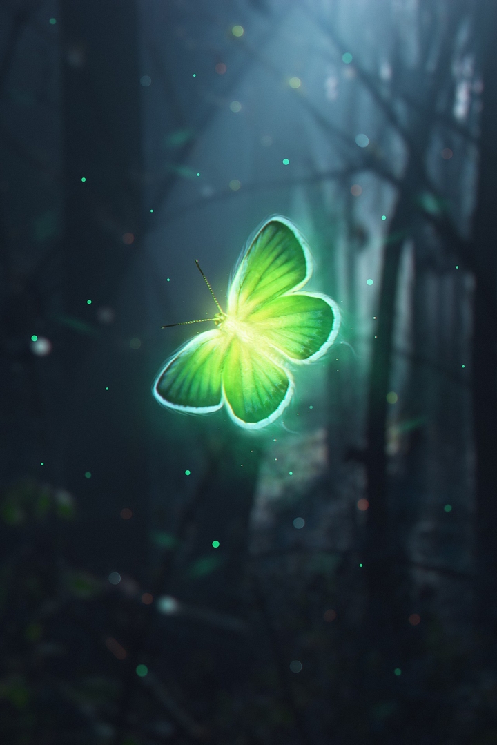 Mariposa