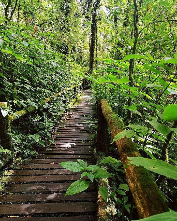 nature