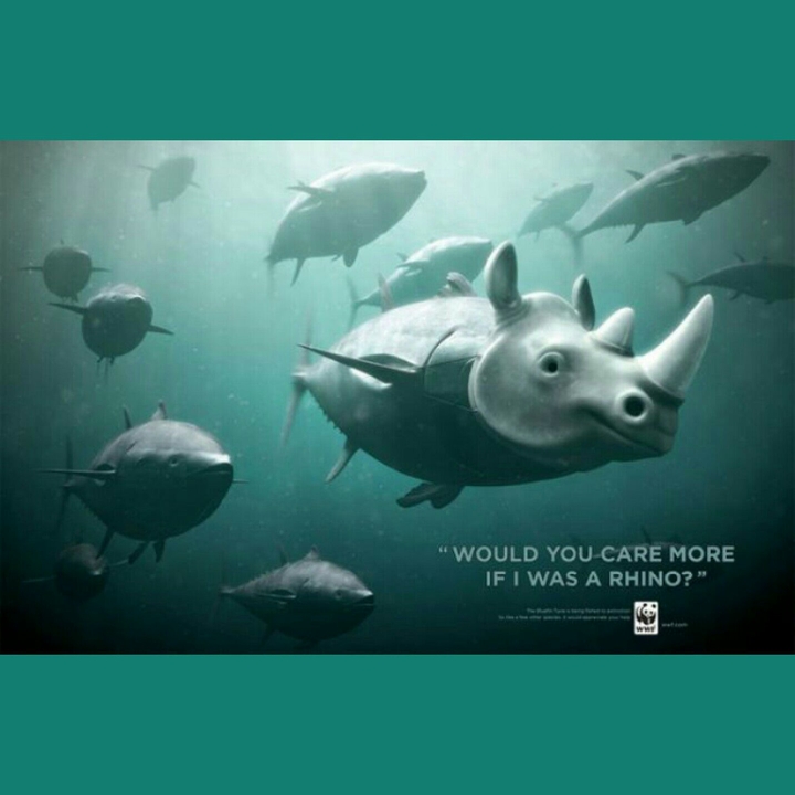 Will Rhino Evolve into Fish??