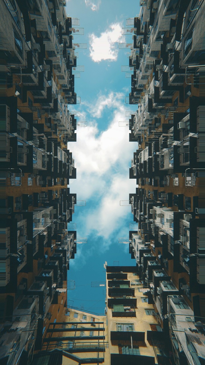 between the urban jungle....