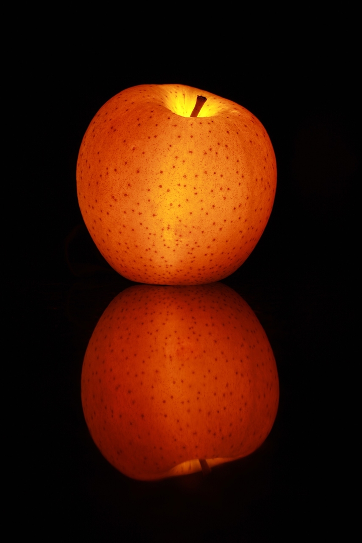 fruit