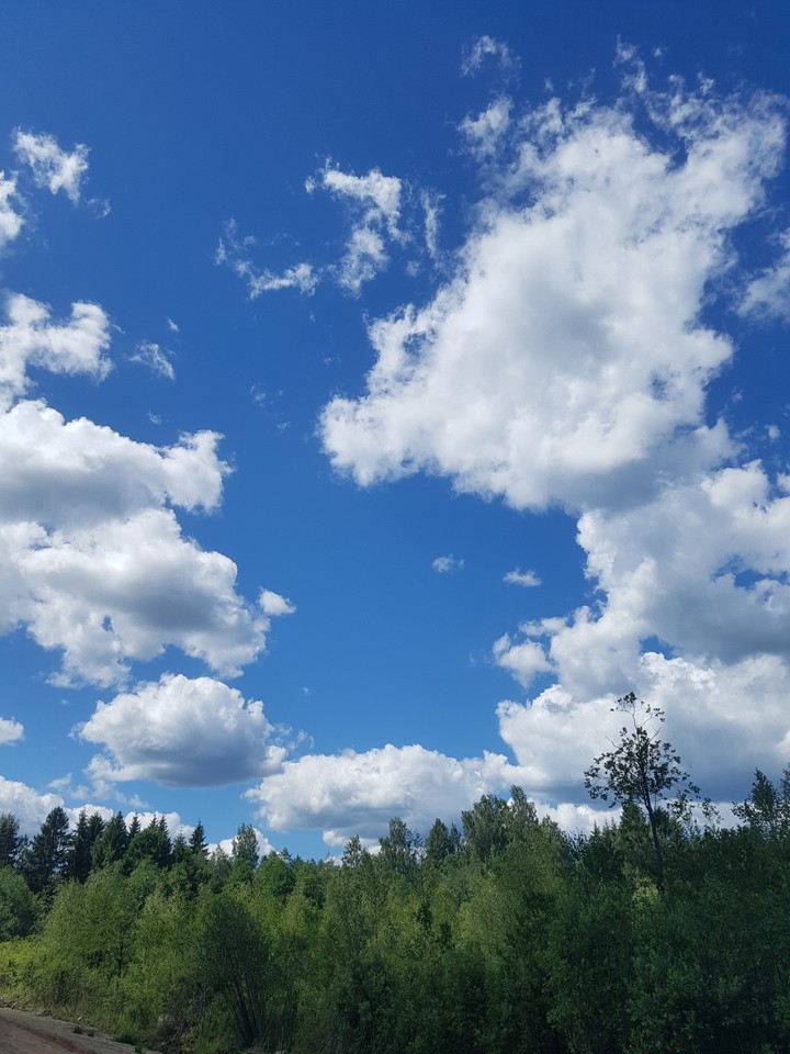 краски жизни