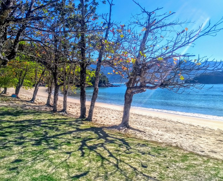 Ubatuba SP