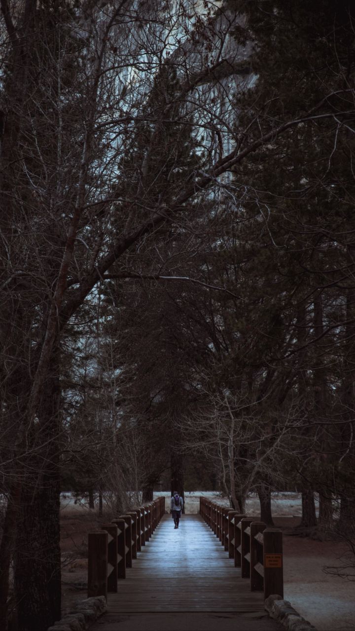 nature