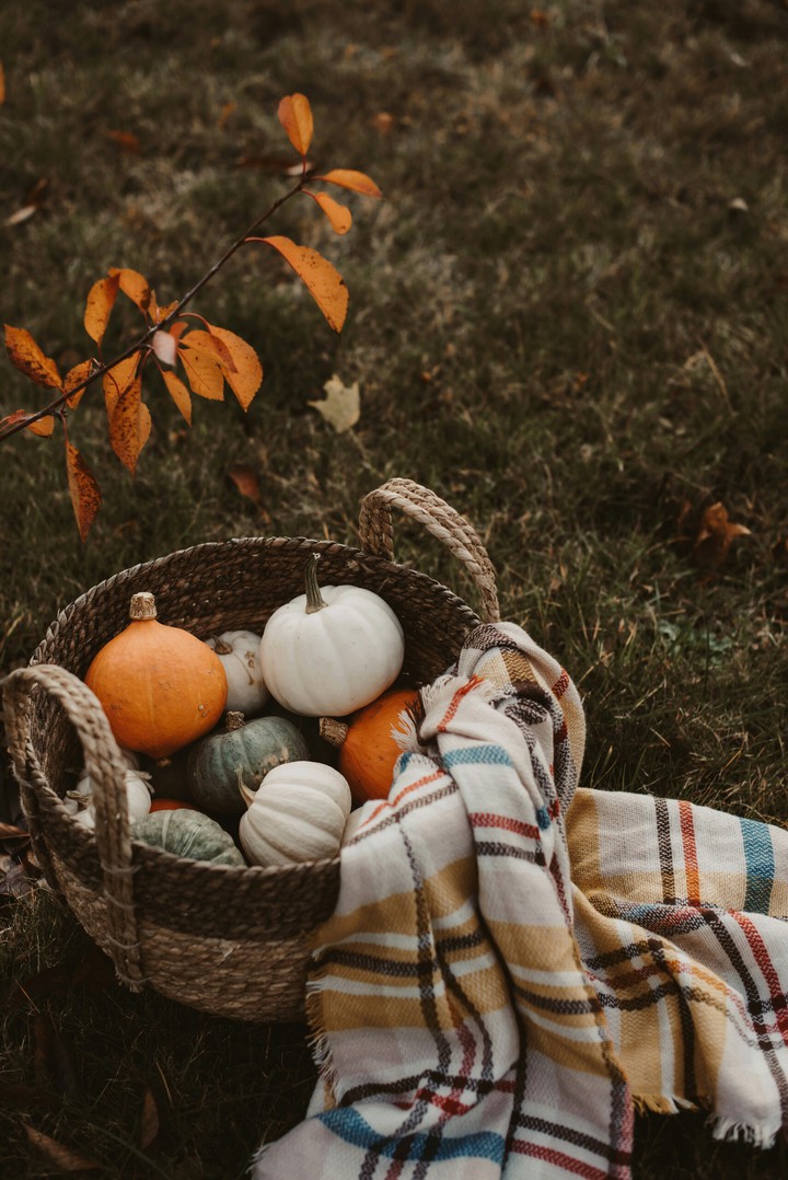 Pumpkins