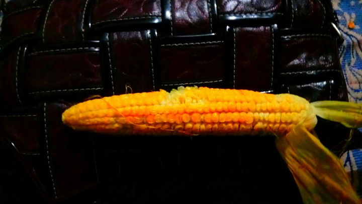 Boiled Corn