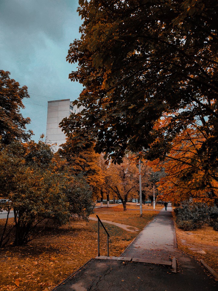 Ukrainian autumn | Украинская осень