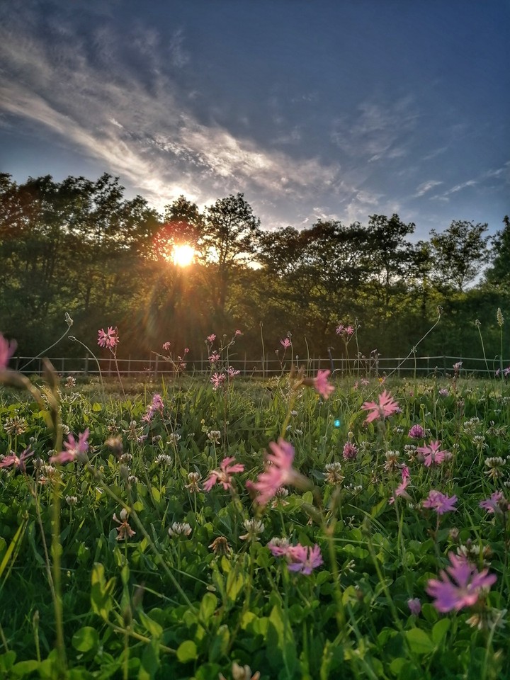 countryside