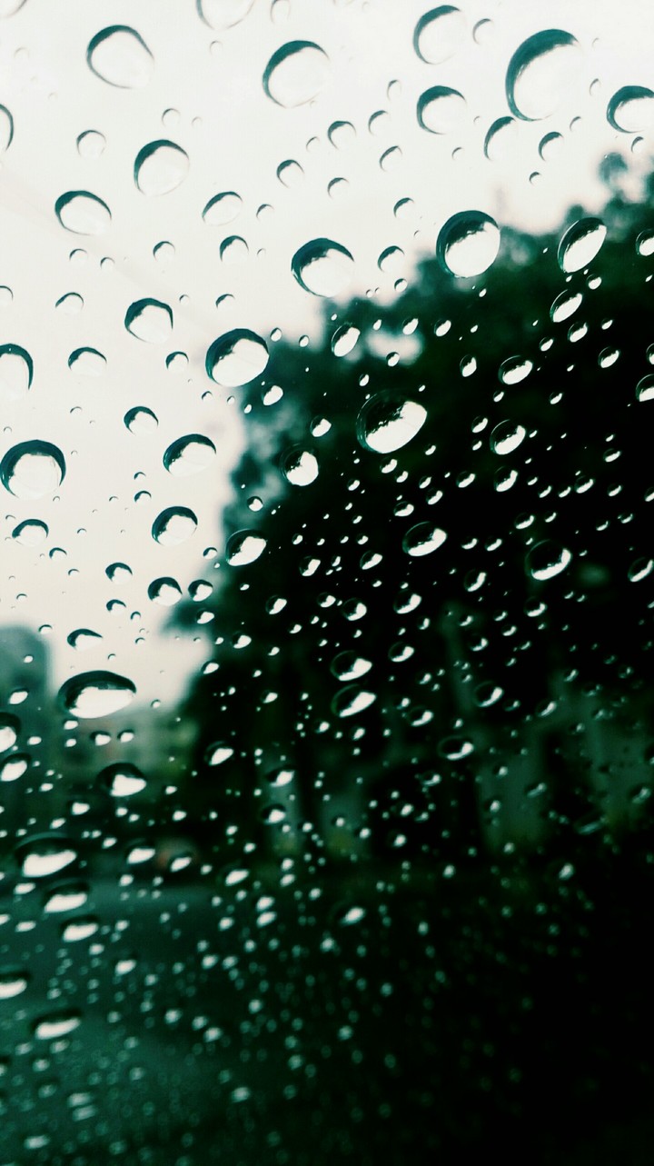 rain droplets