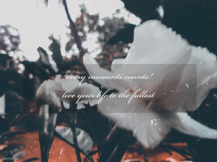 quotes