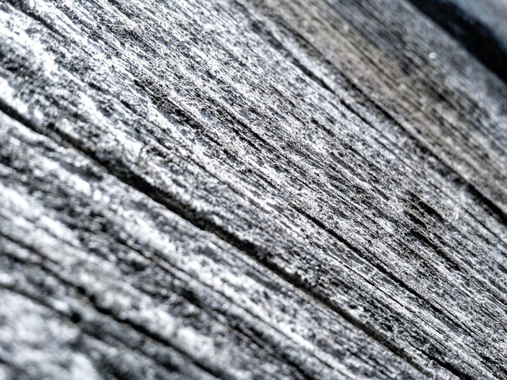 Wood