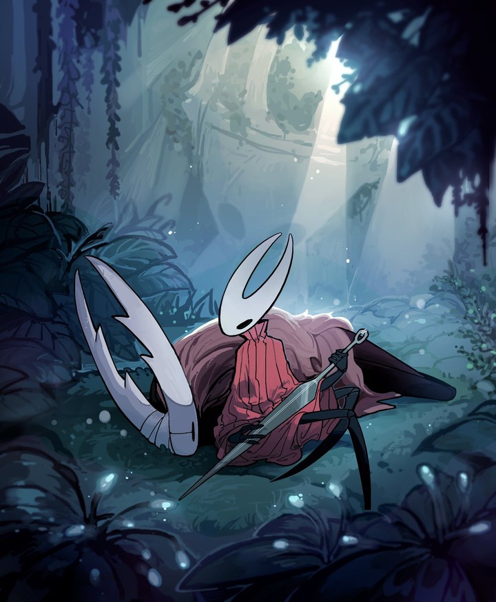 Hollow knight