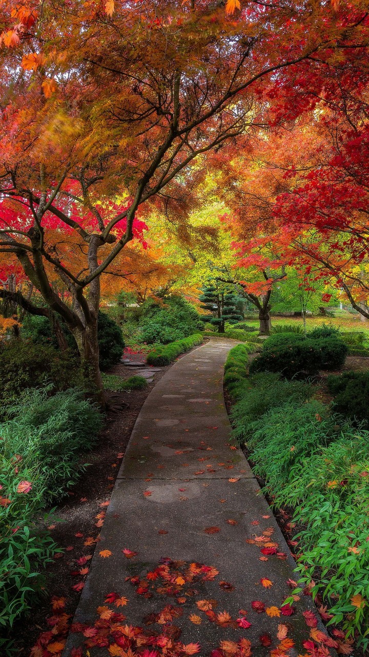 park