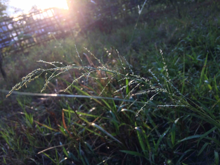 #sunshine