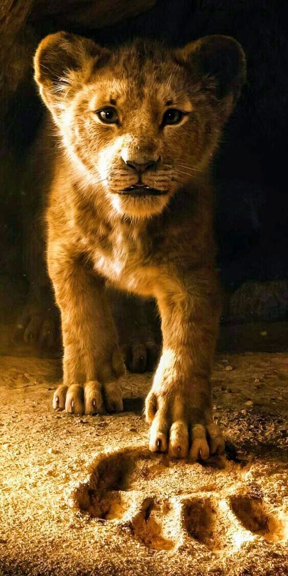 Lion King