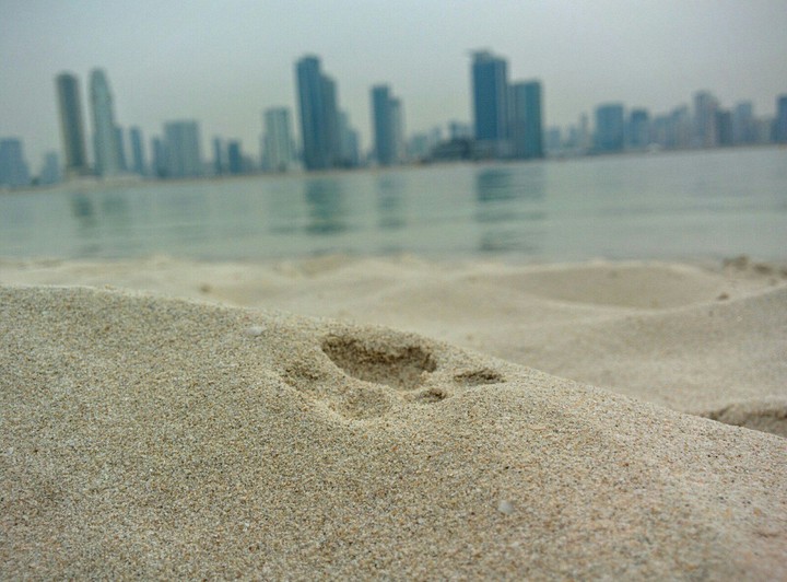 Footprint