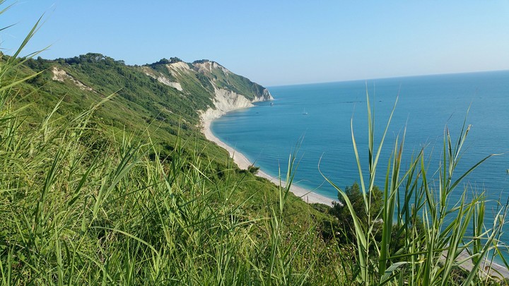 mezzavalle  (conero)