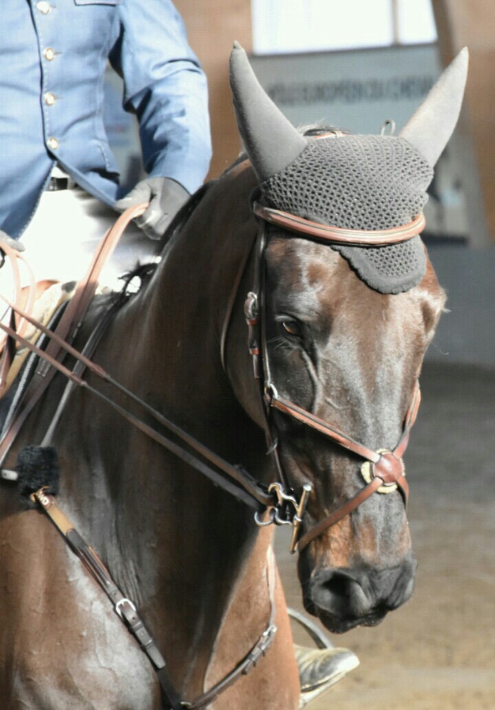 boulerie jump