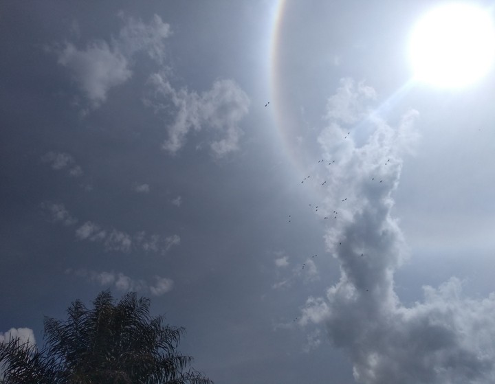 sol