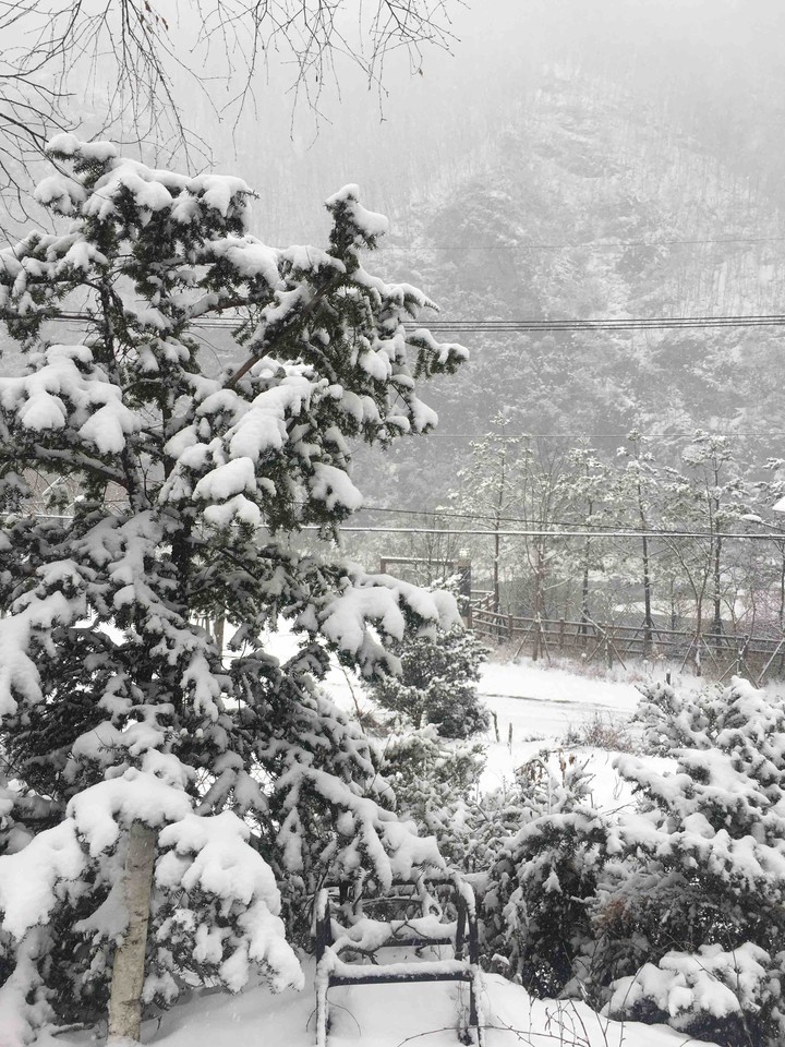 winter
