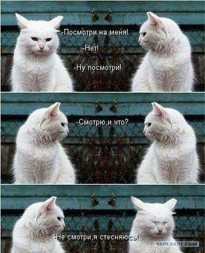***