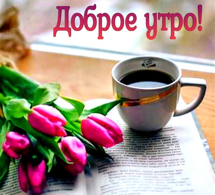 доброе утро