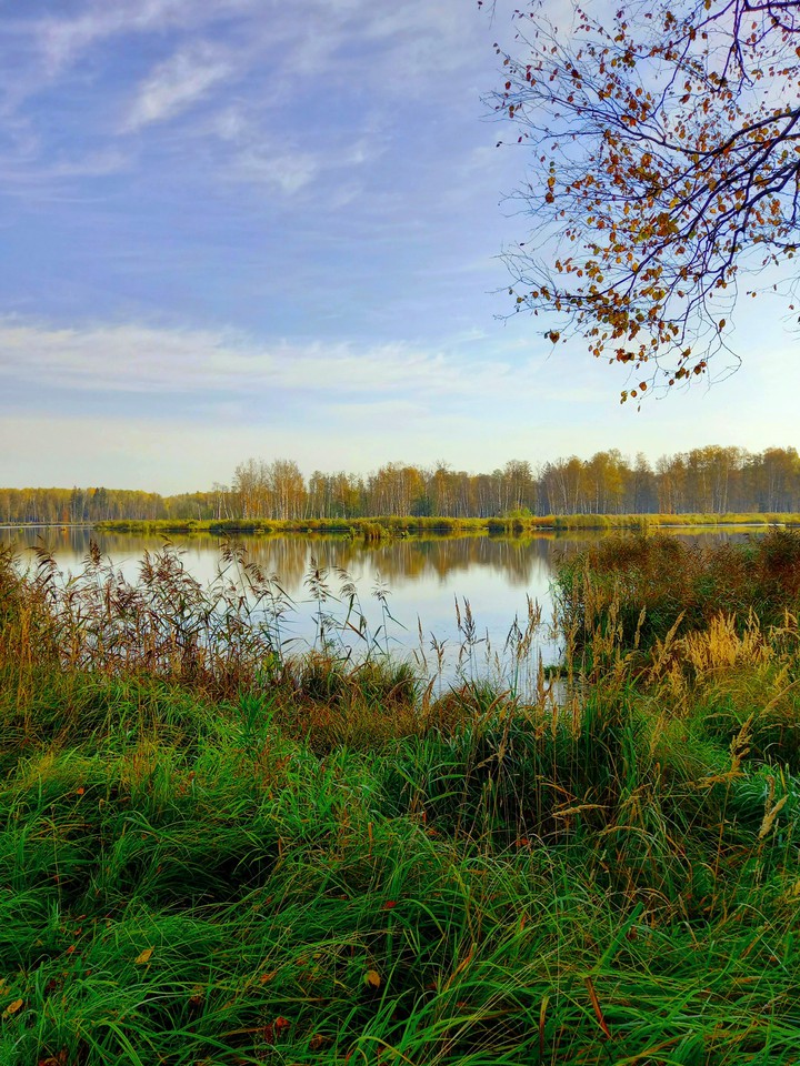 autumn morning
