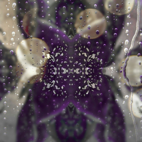 rain