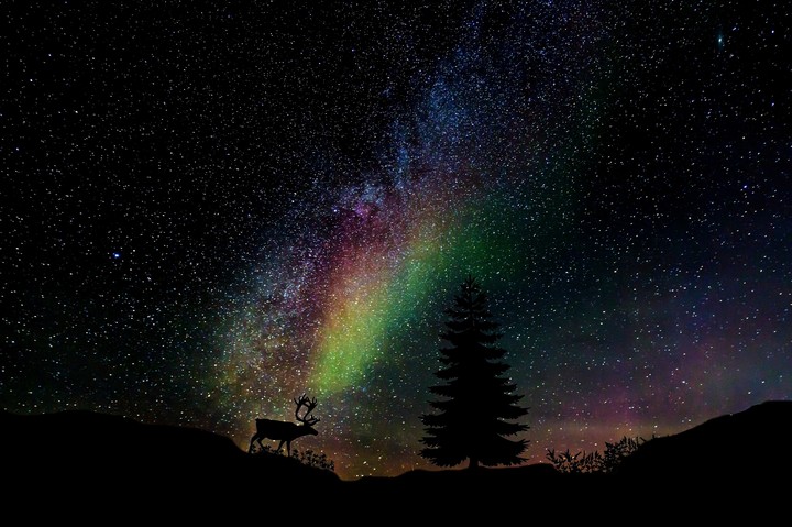 Stars
