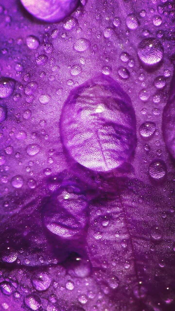 purple pinkish color droplets