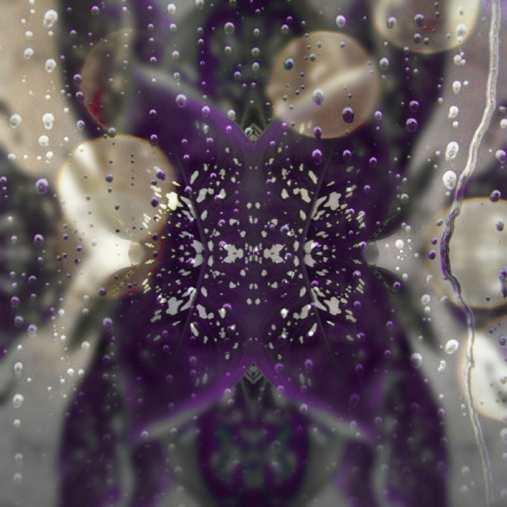 rain