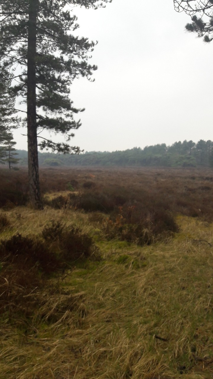 Easter walk