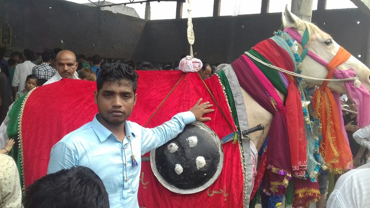 mohd