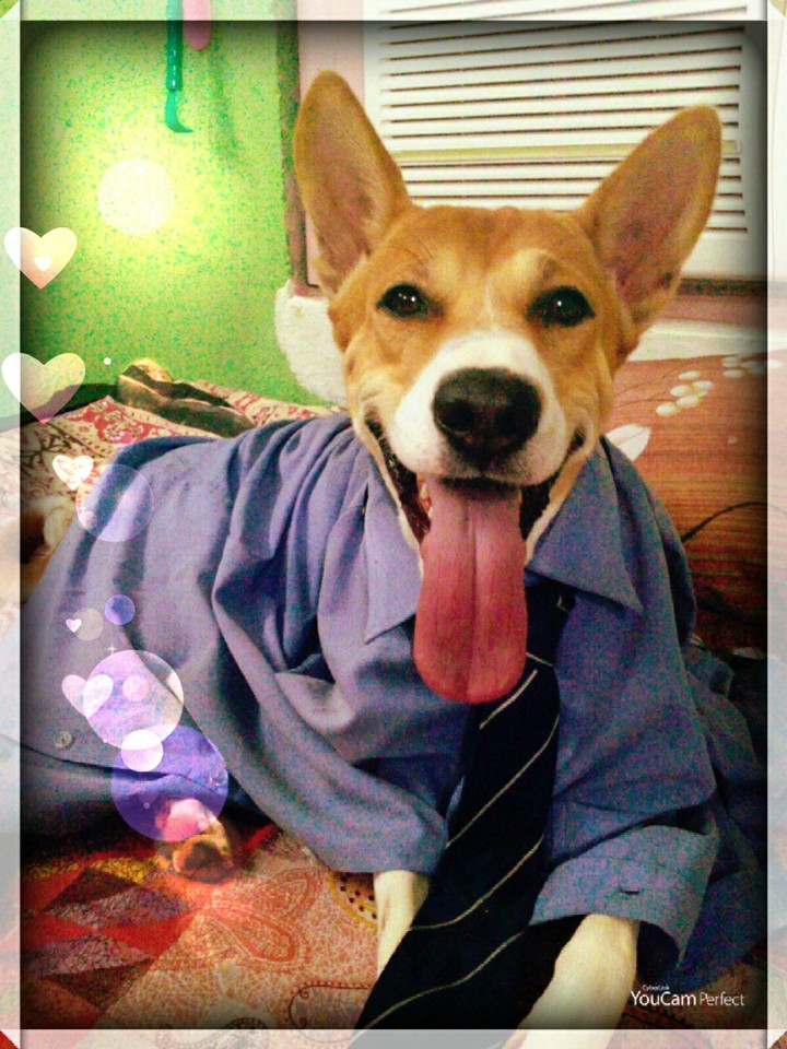 MY dog