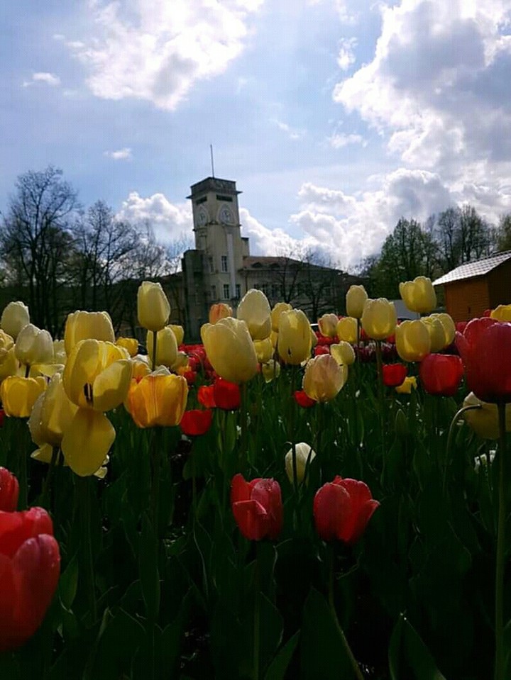 my town ☺